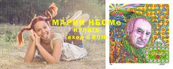 дурь Надым